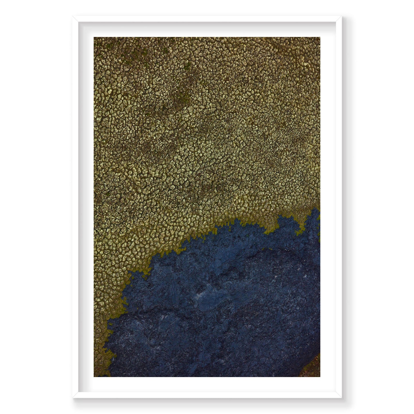 Moss Green, Iceland, Vertical Print