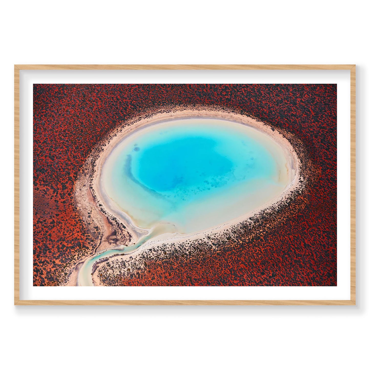 Blue Lagoon, Shark Bay, Horizontal Print