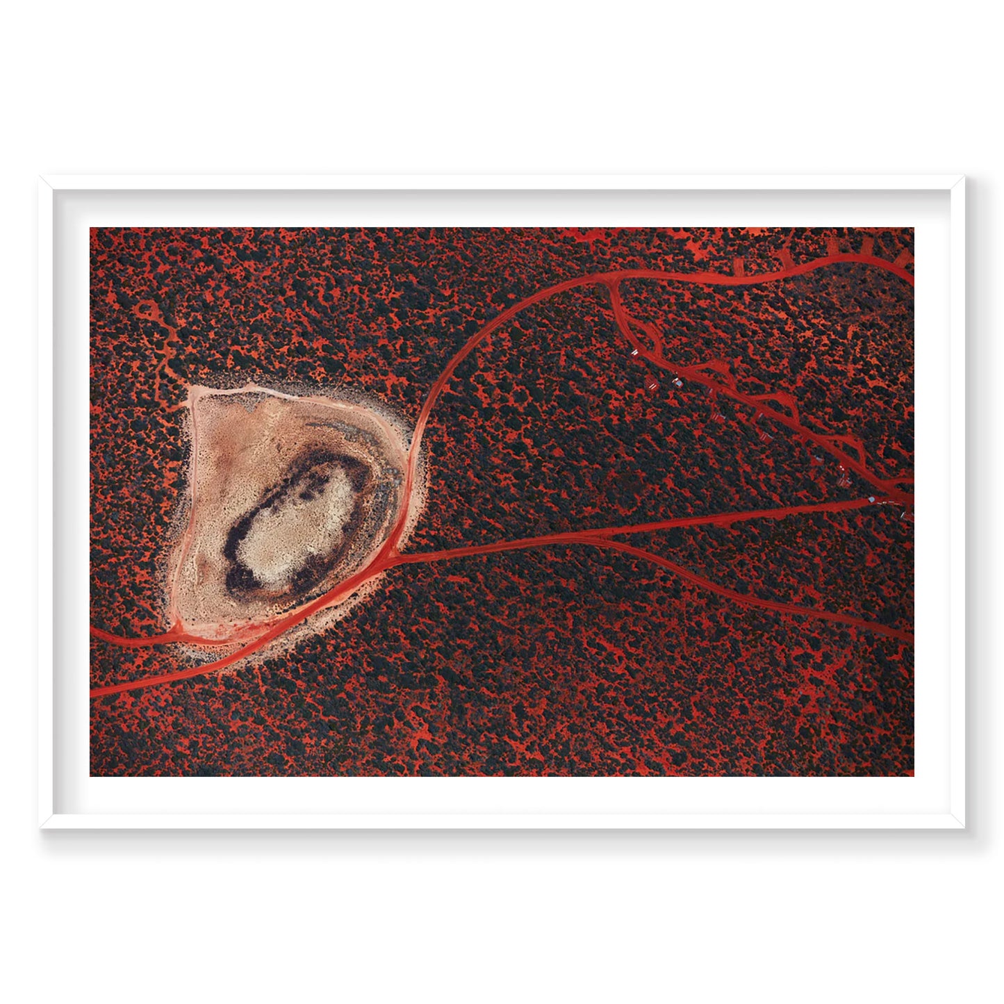 Outback, Shark Bay, Horizontal Print
