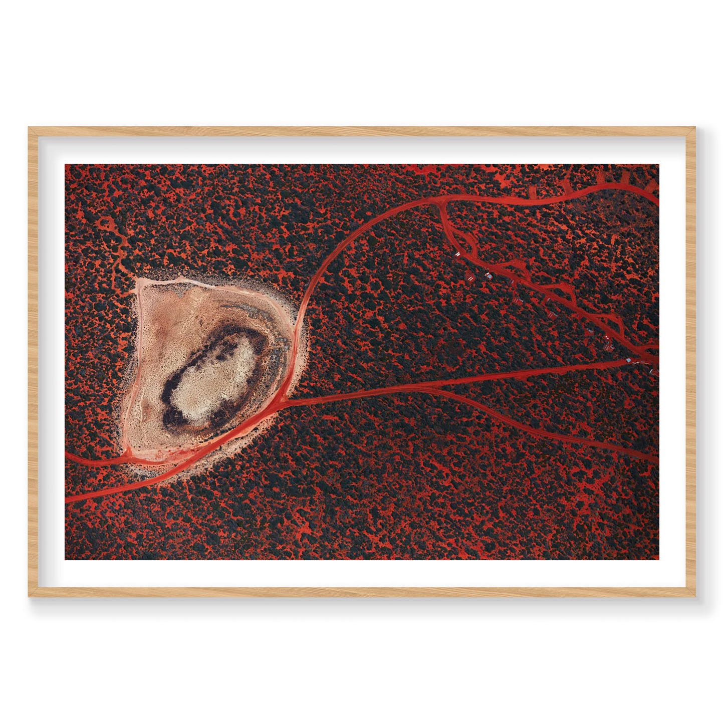 Outback, Shark Bay, Horizontal Print