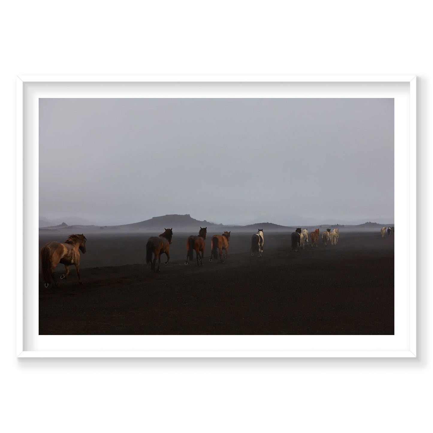 Herd, Iceland, Horizontal Print