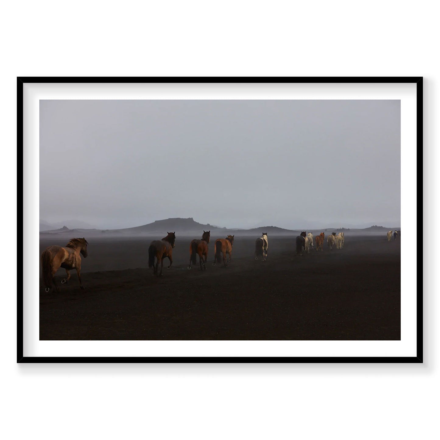 Herd, Iceland, Horizontal Print