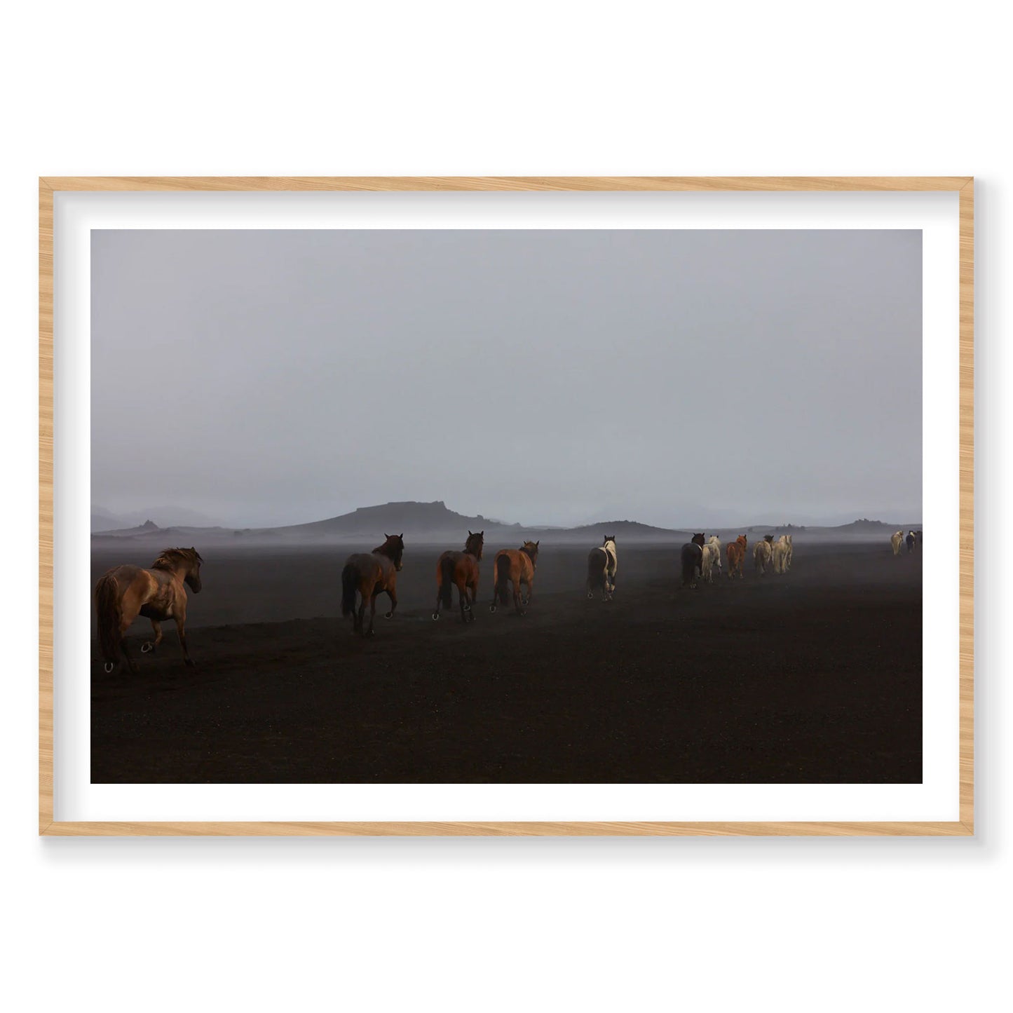 Herd, Iceland, Horizontal Print