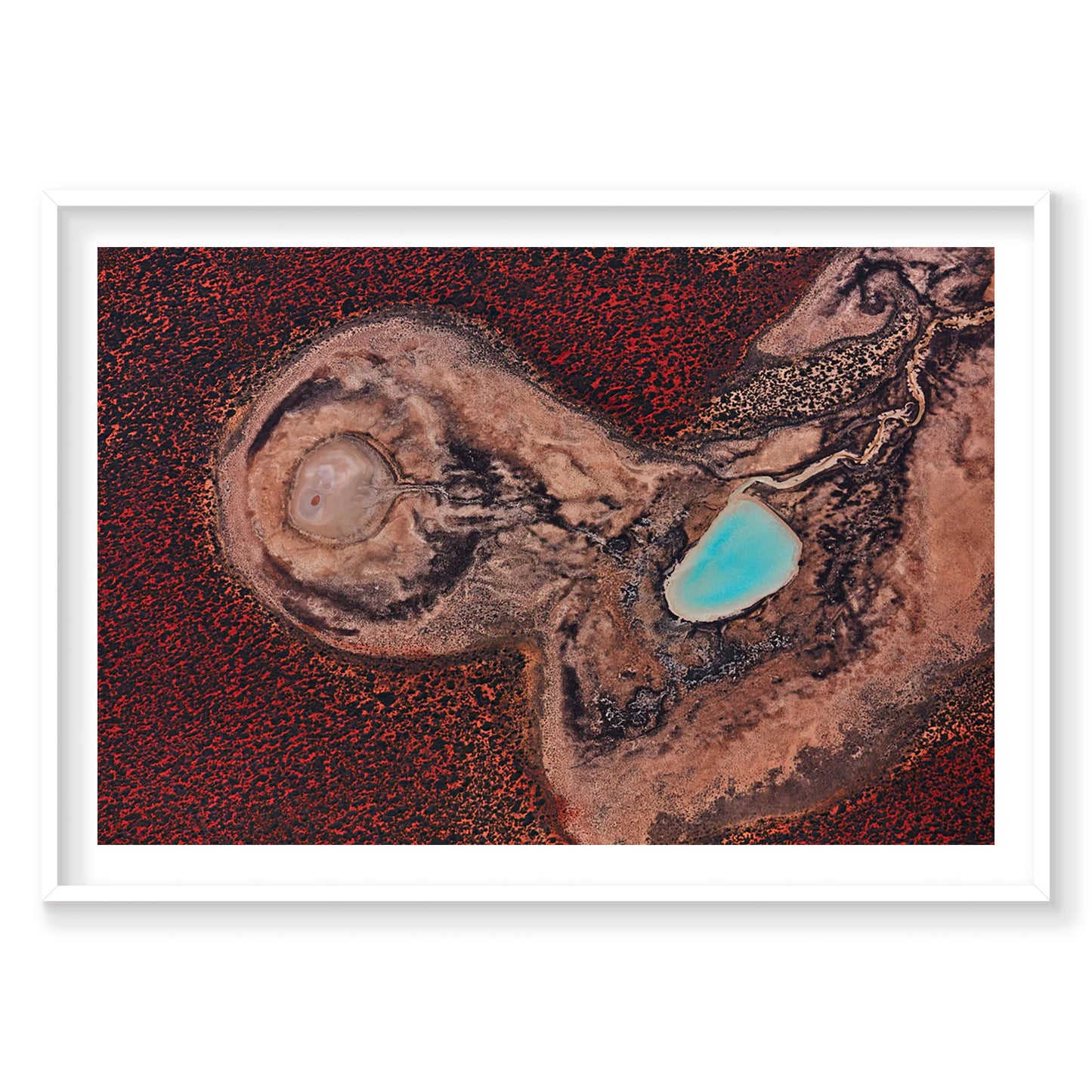 Internal, Shark Bay, Horizontal Print