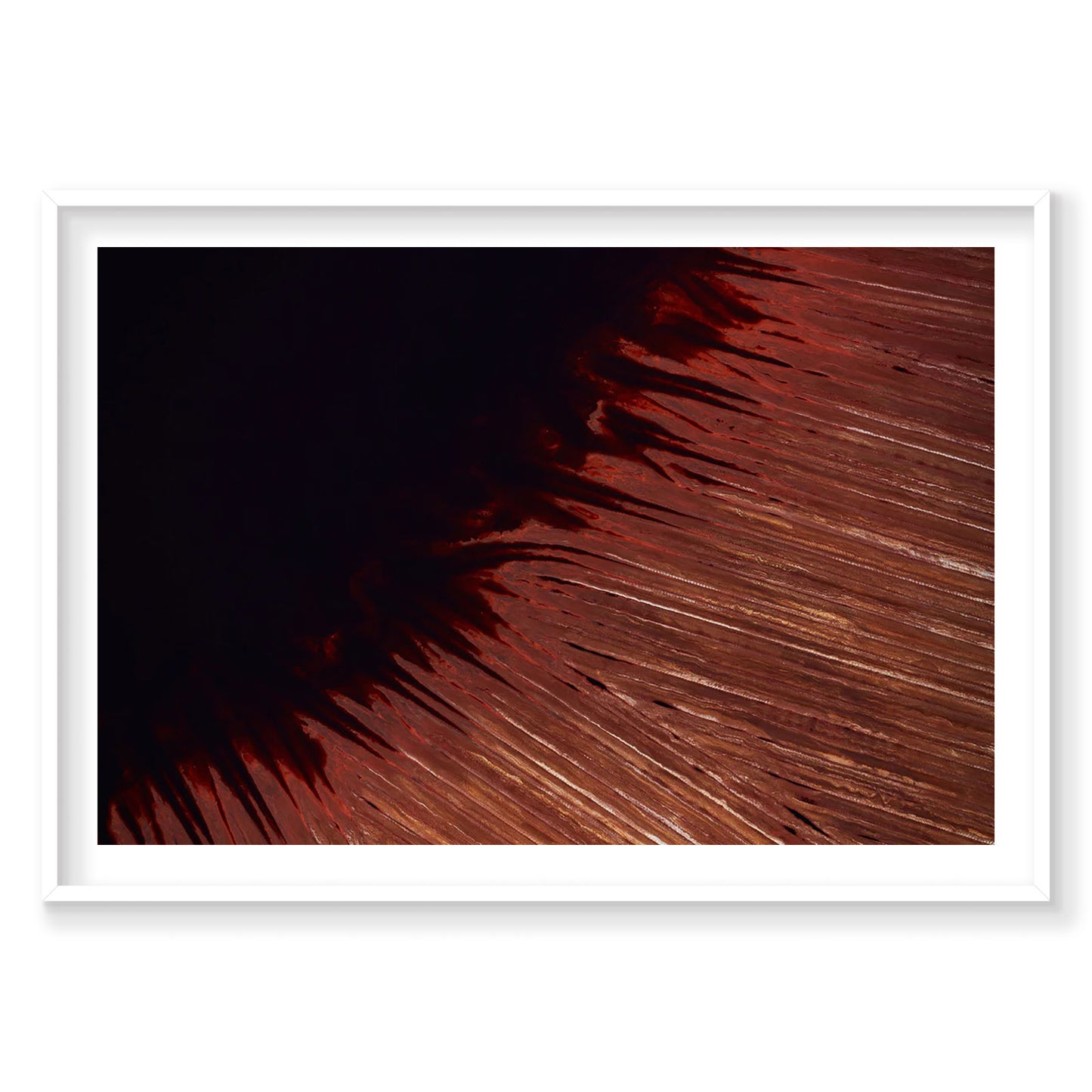 Leeching, Western Australia, Horizontal Print