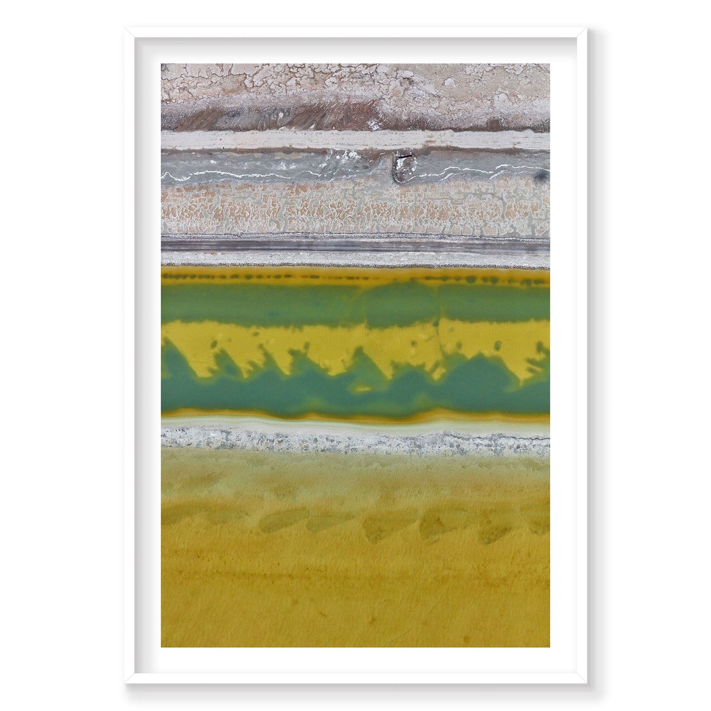 Brine, Great Salt Lake, Portrait Print
