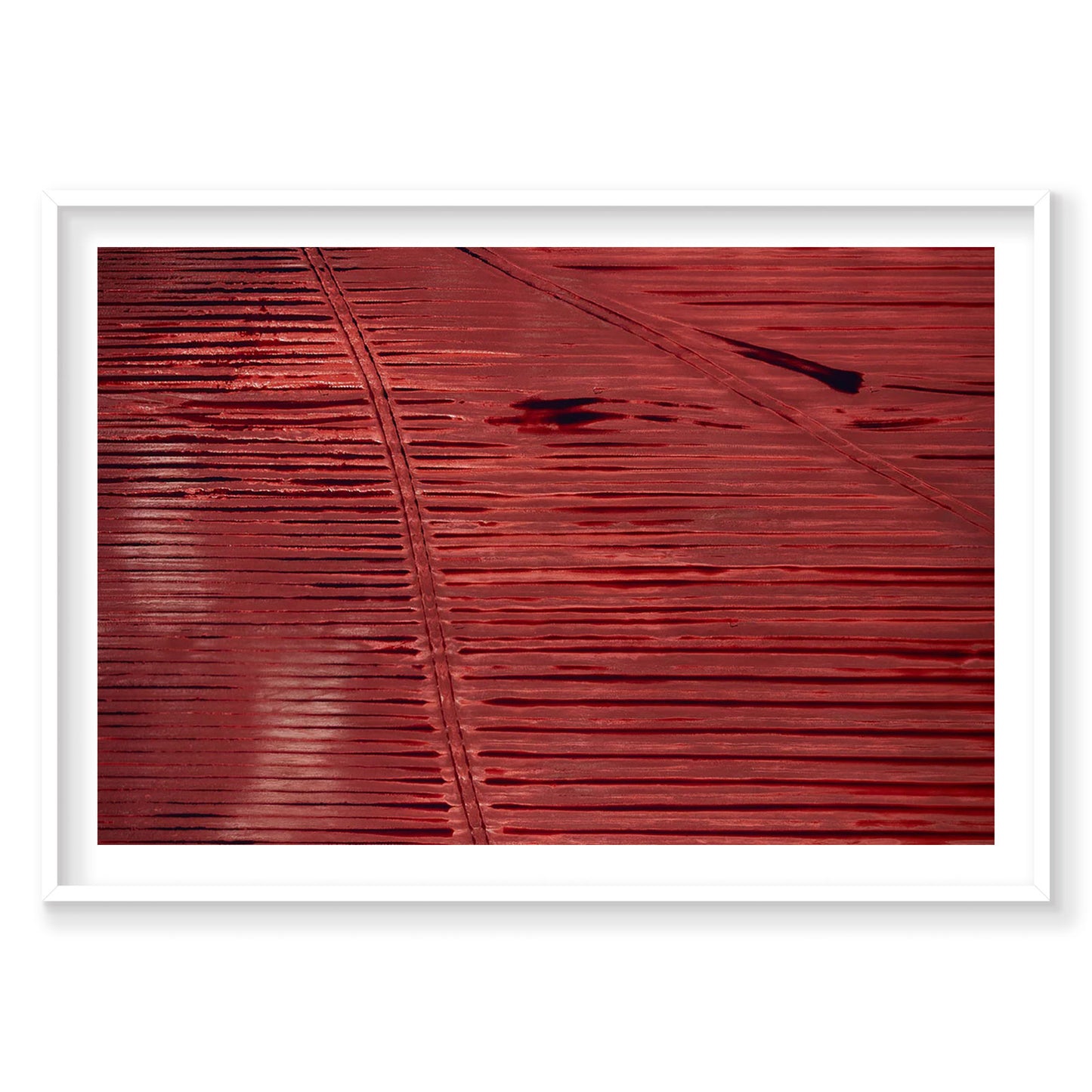 Stained, Western Australia, Horizontal Print