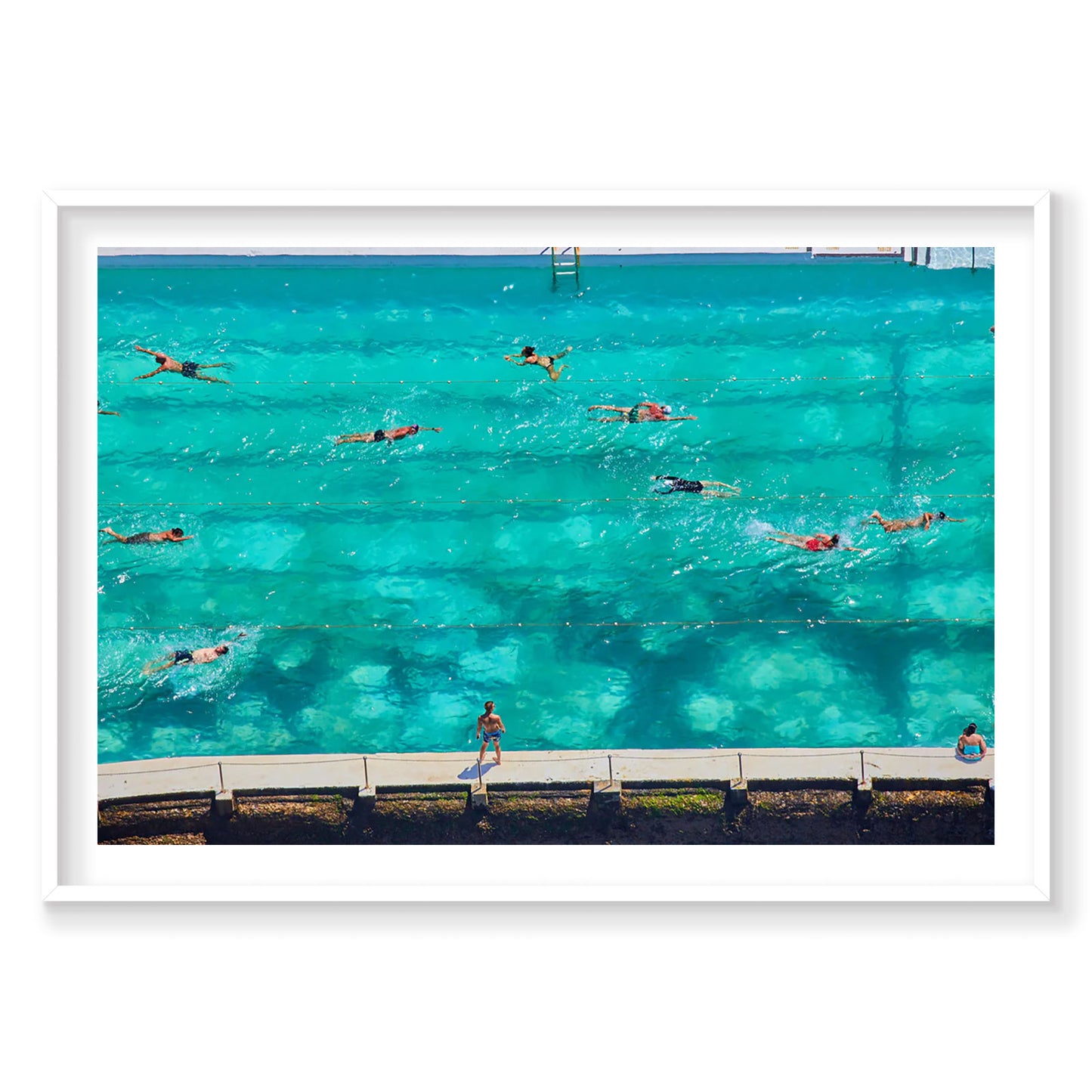 Icebergs Swimmers, Horizontal Print