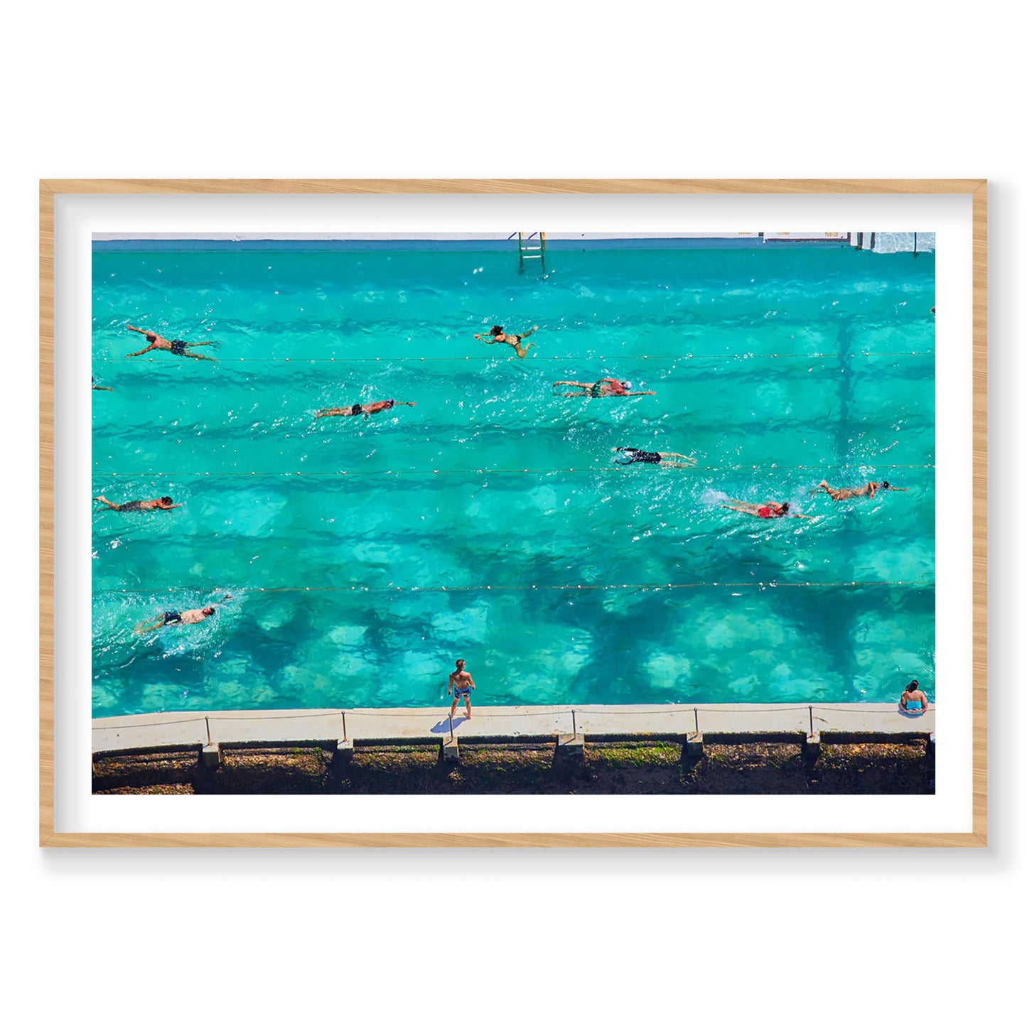 Icebergs Swimmers, Horizontal Print