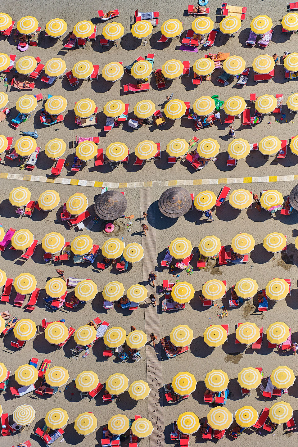 Yellow & White, Italy, Vertical Print