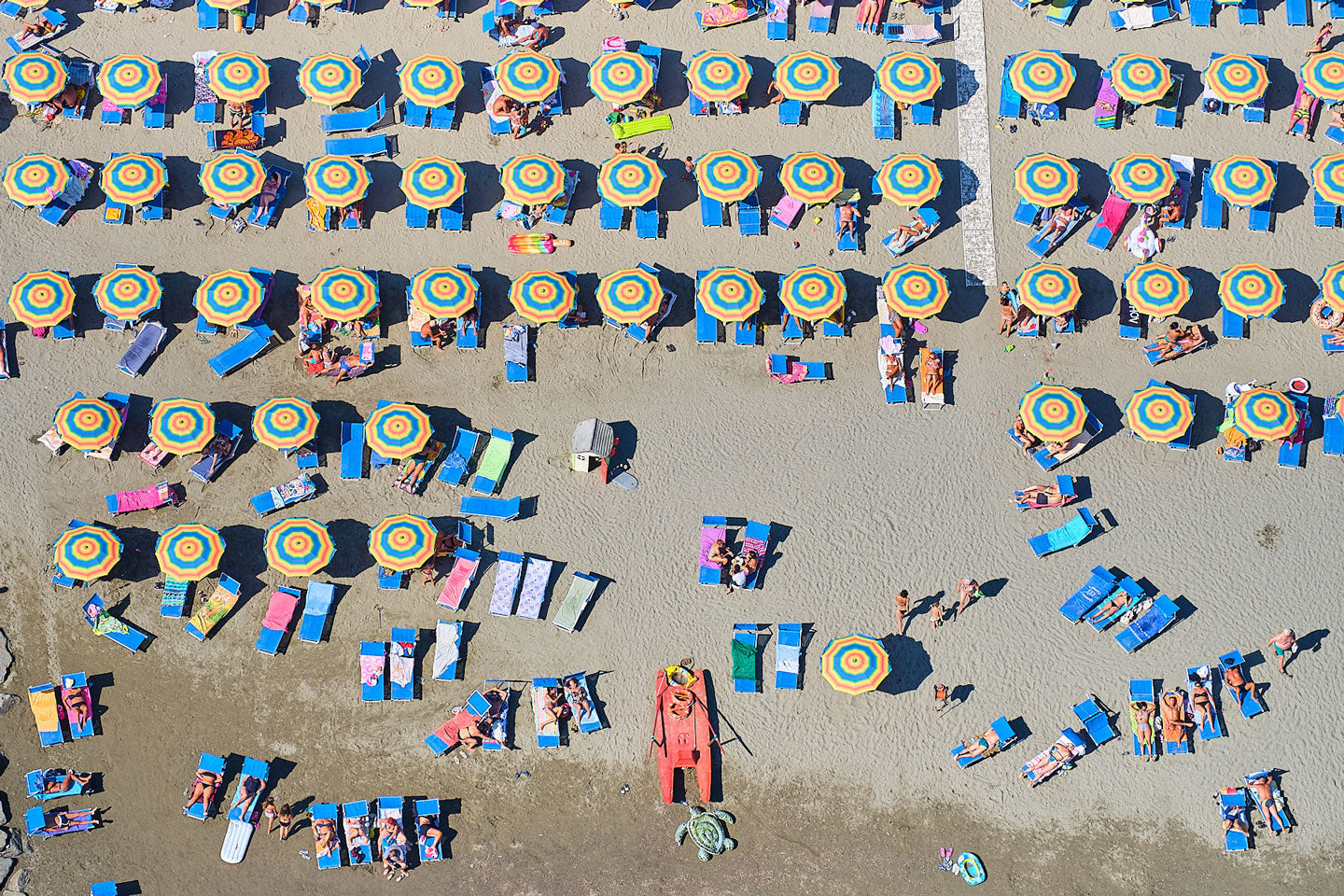 Tuscan Umbrellas, Italy, Horizontal Print