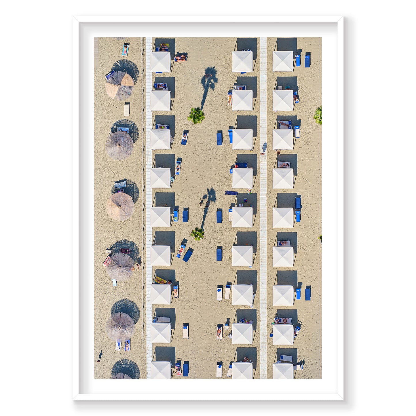 Palm Shade, Italy, Vertical Print