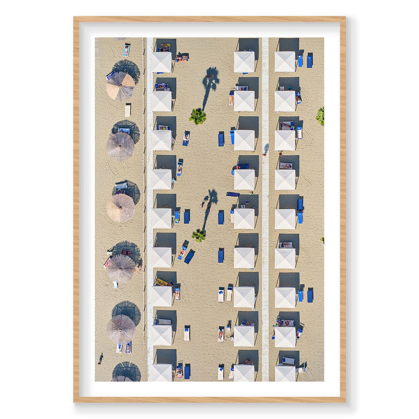 Palm Shade, Italy, Vertical Print