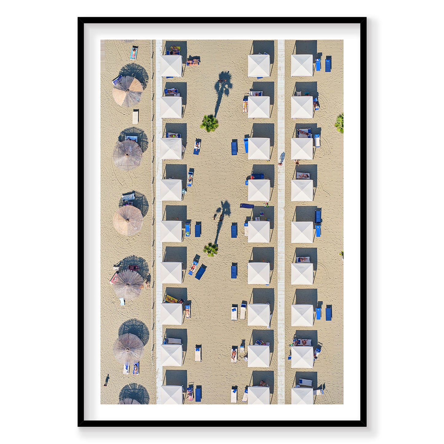 Palm Shade, Italy, Vertical Print