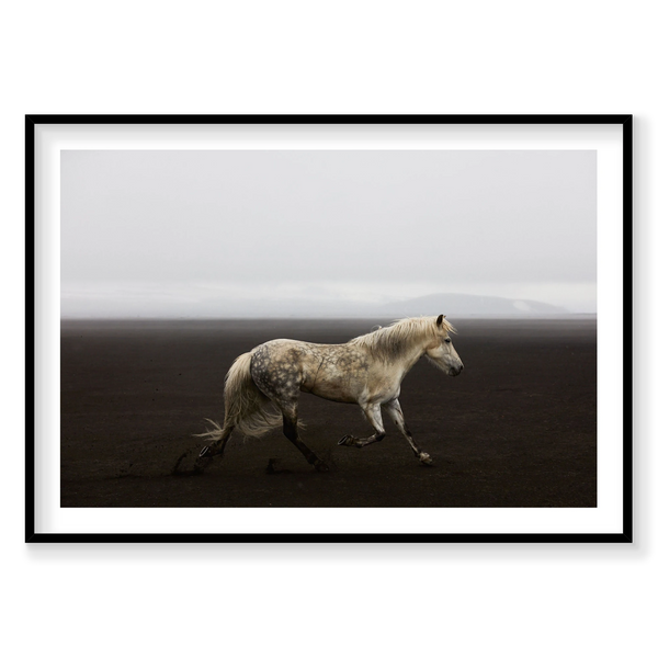Solo, Iceland, Horizontal Print