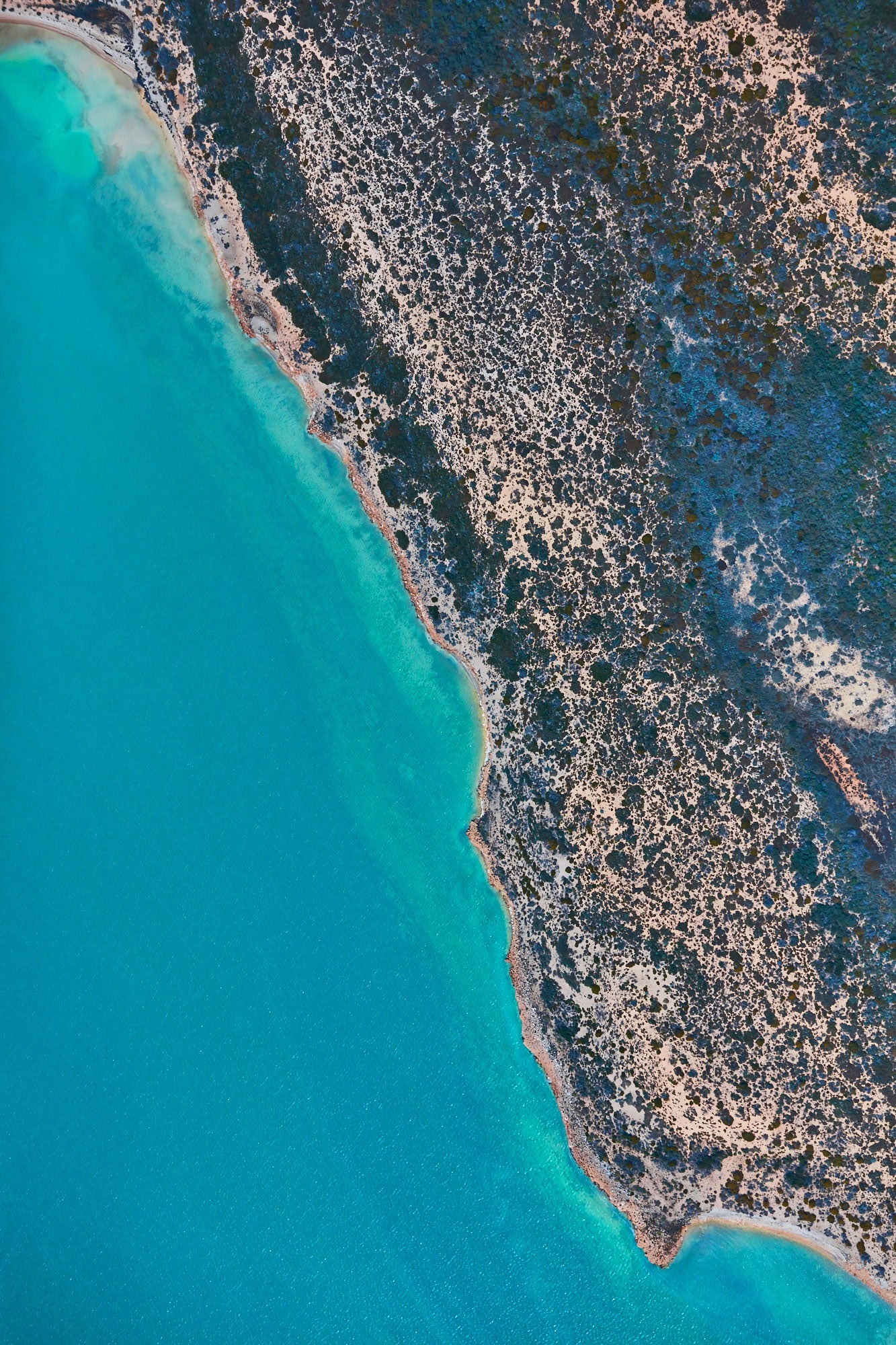 Coastline, Carrarang, Vertical Print