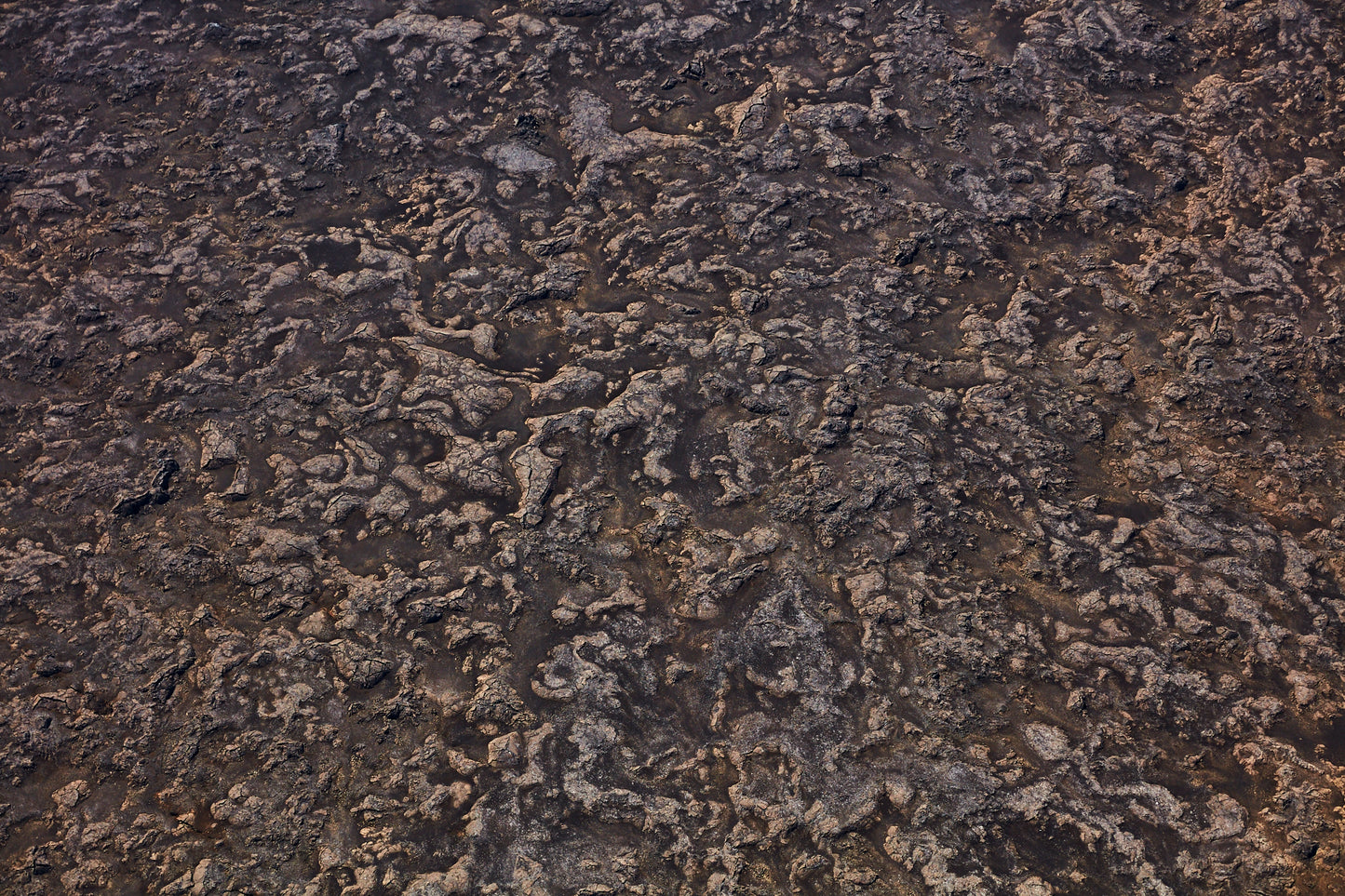 Lava Fields, Iceland, Horizontal Print