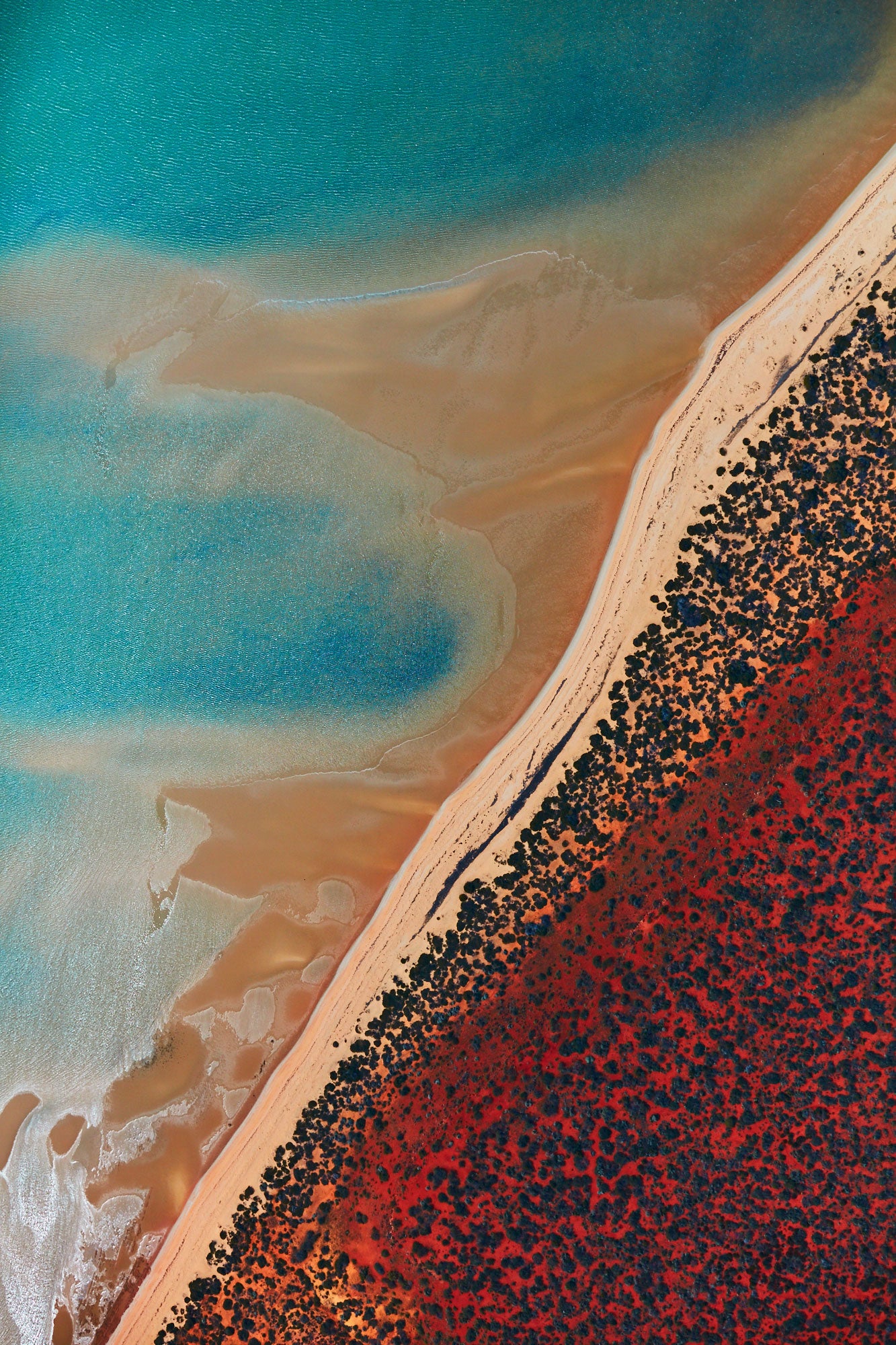 Shallow Water, Shark Bay, Vertical Print