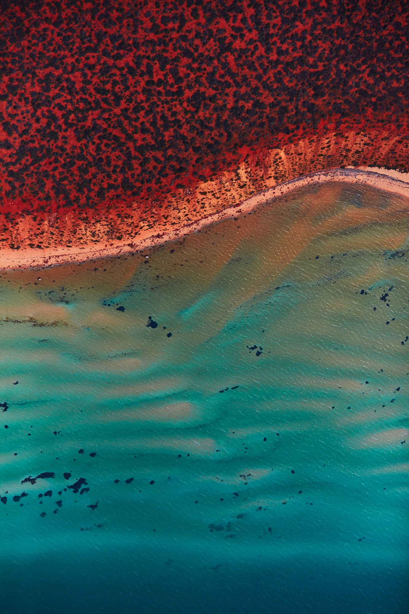 Ripples, Shark Bay, Vertical Print