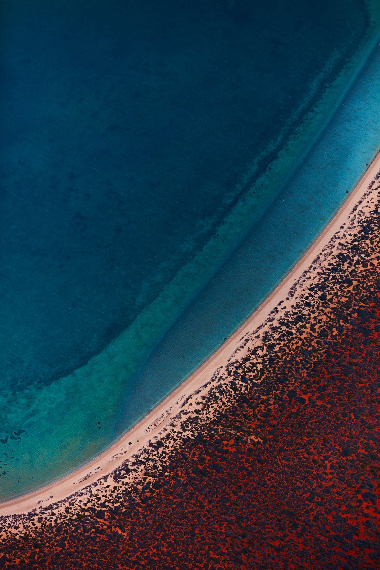 Deep Waters, Shark Bay, Vertical Print