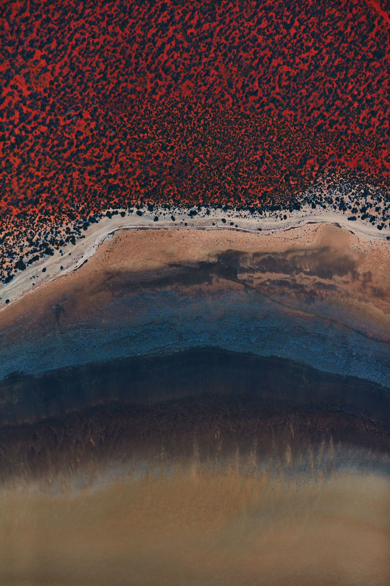 Blue Sand, Shark Bay, Vertical Print