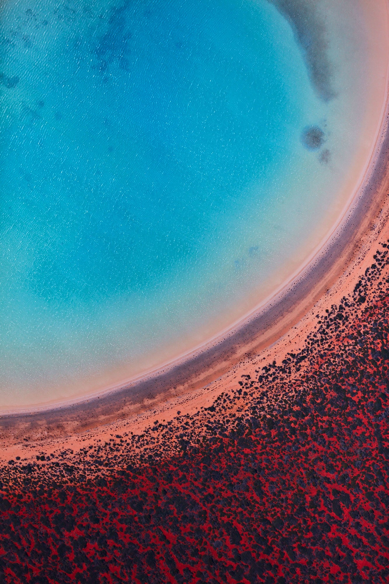 Lagoon, Shark Bay, Vertical Print