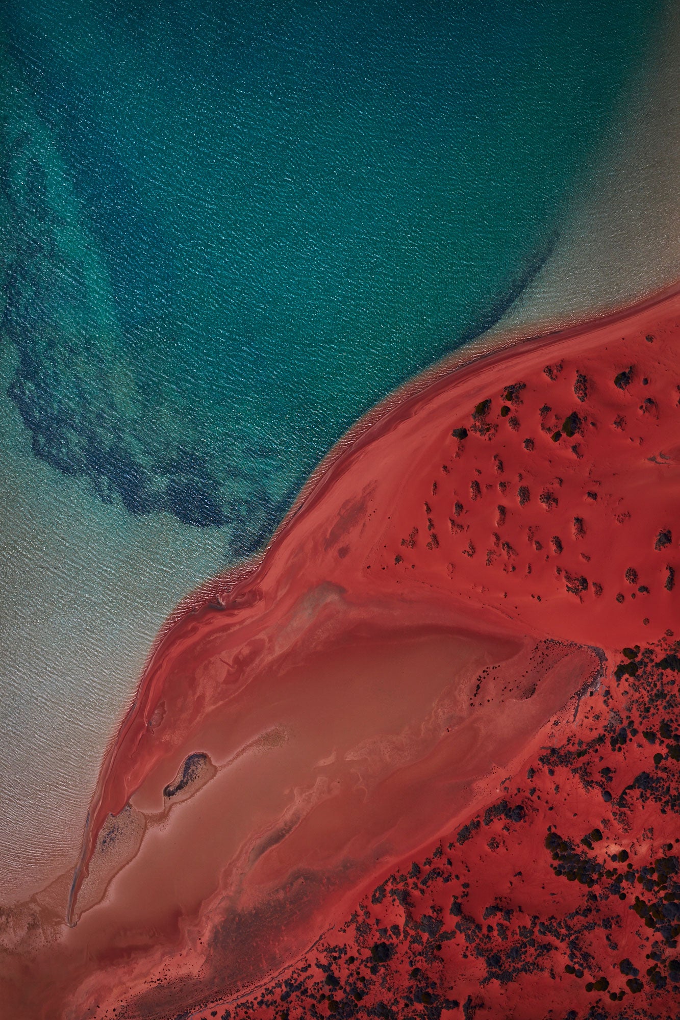 Eagle, Shark Bay, Vertical Print