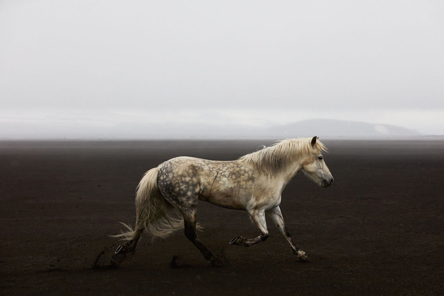 Solo, Iceland, Horizontal Print