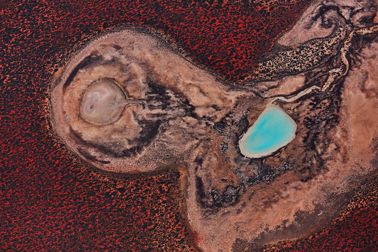 Internal, Shark Bay, Horizontal Print