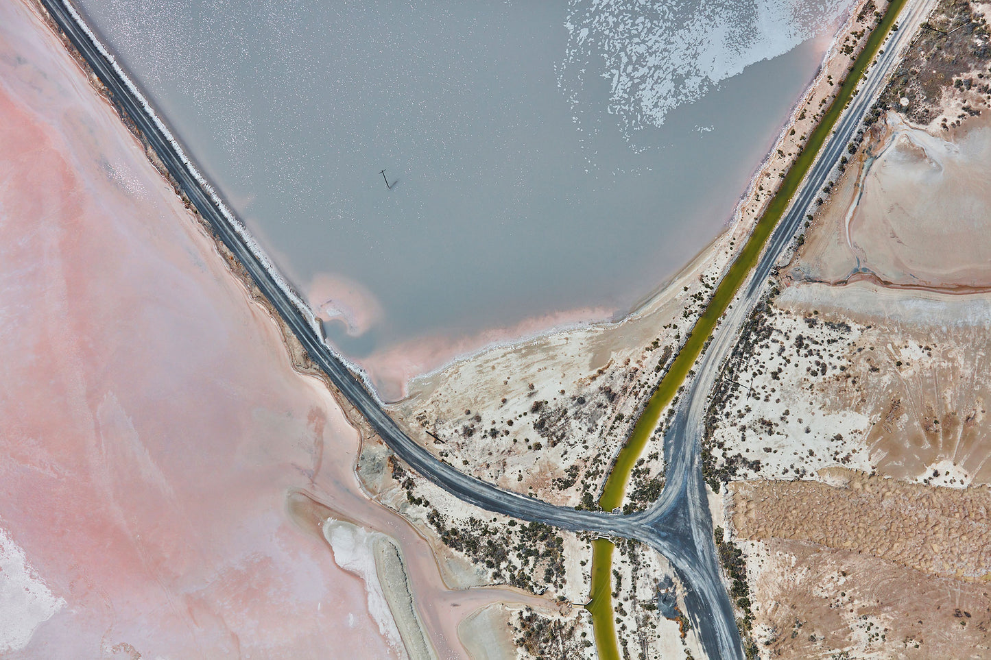 Flamingo, Great Salt Lake, Horizontal Print