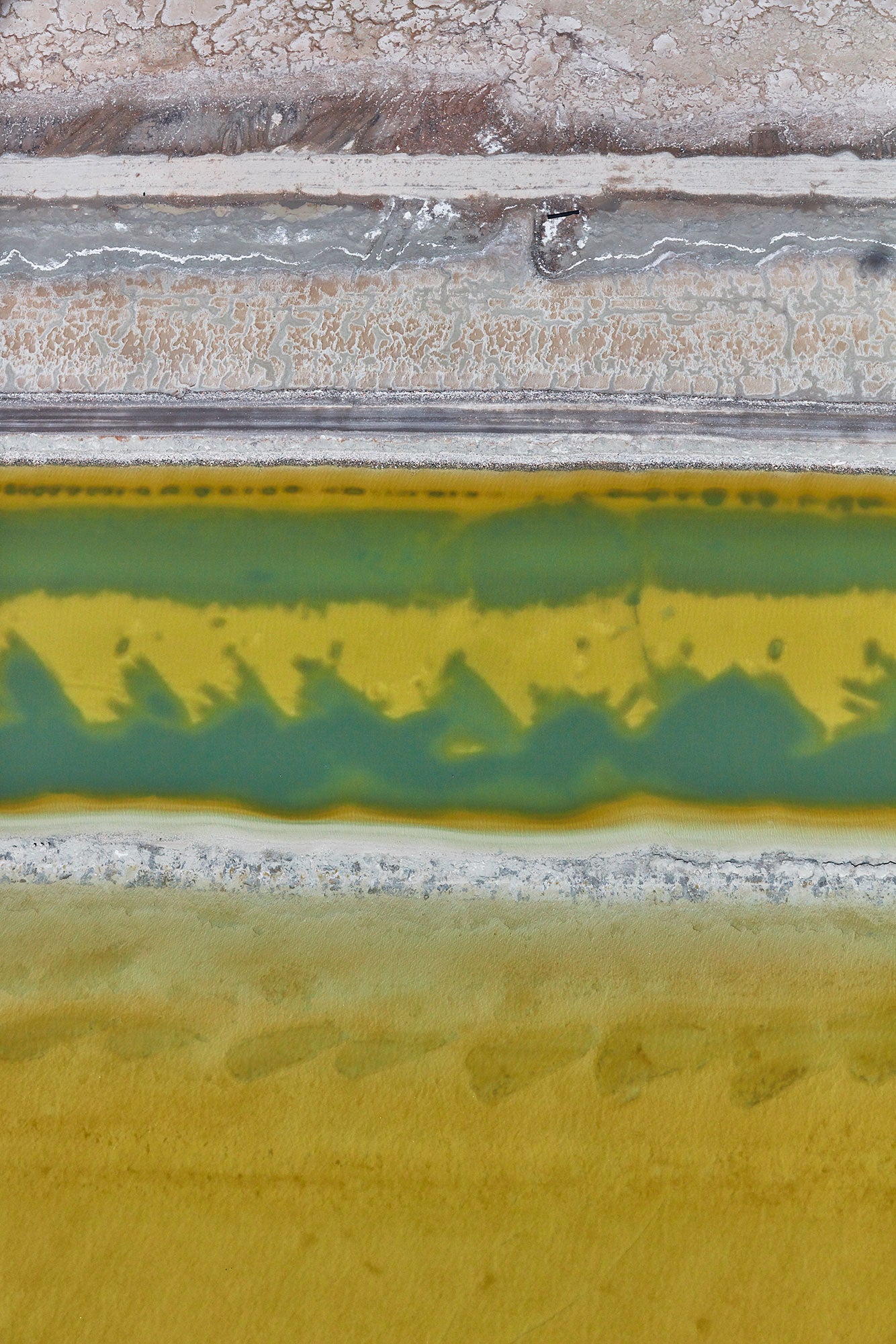 Brine, Great Salt Lake, Portrait Print