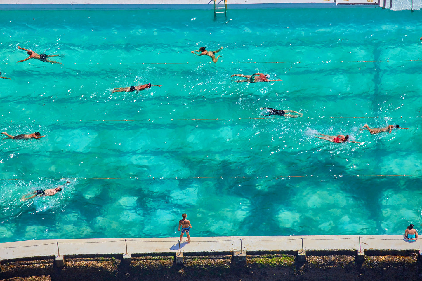 Icebergs Swimmers, Horizontal Print