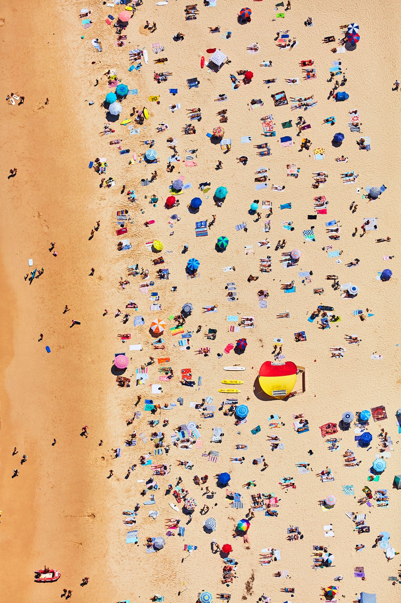 Bondi Beach Sunbathers, Vertical Print