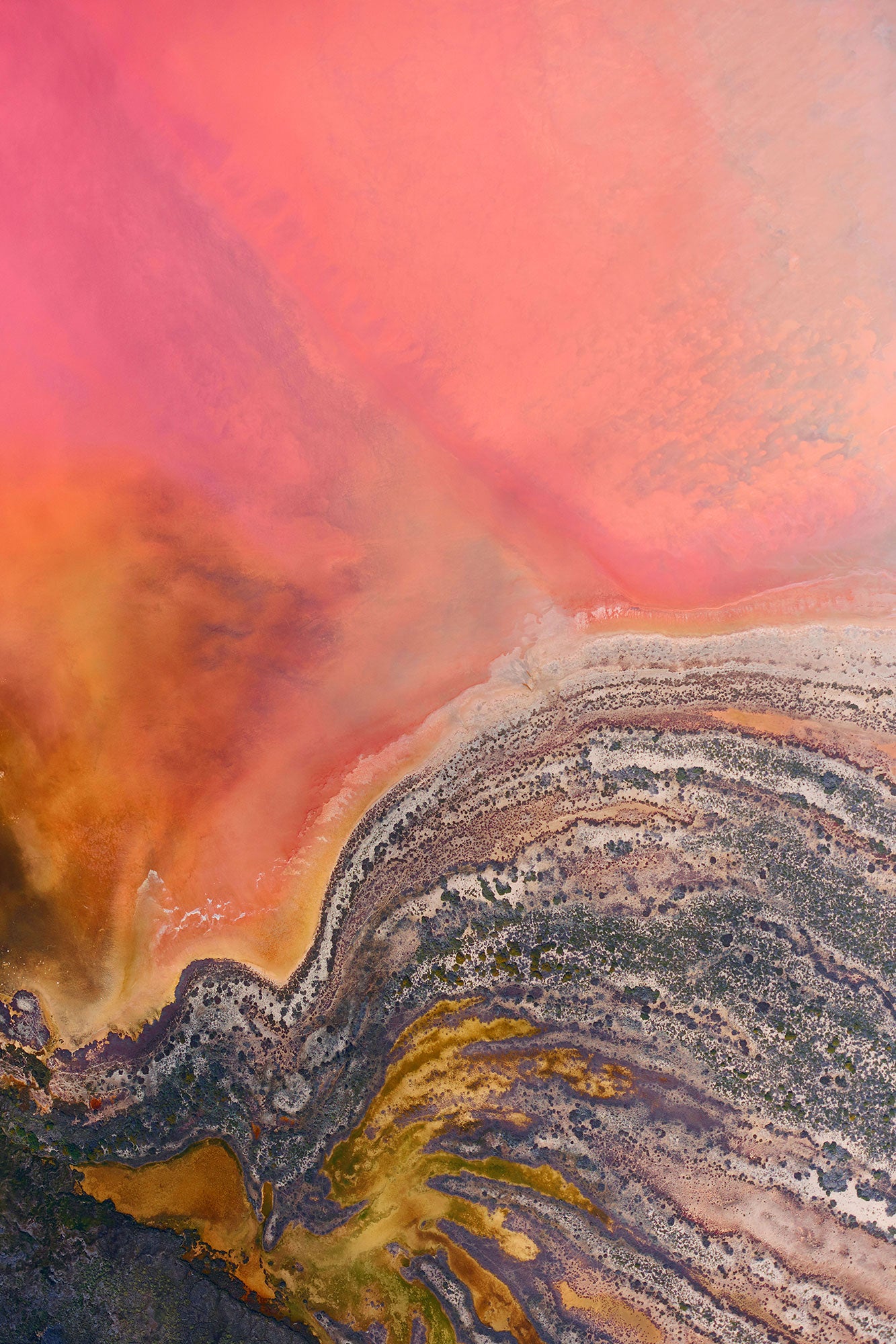 Butterfly, Hutt Lagoon, Vertical Print