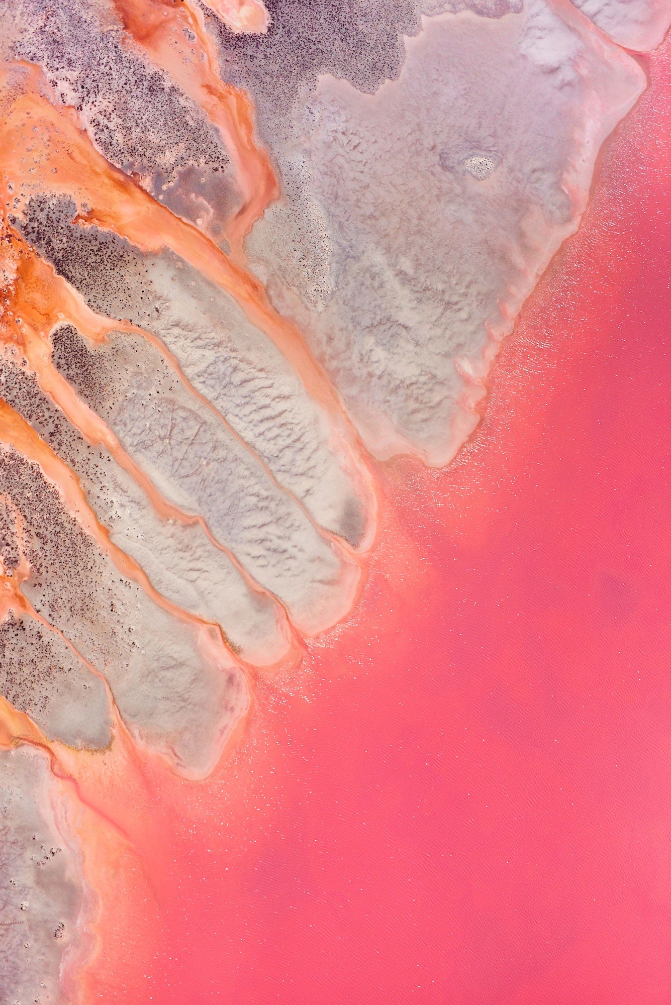 Streams , Hutt Lagoon, Vertical Print