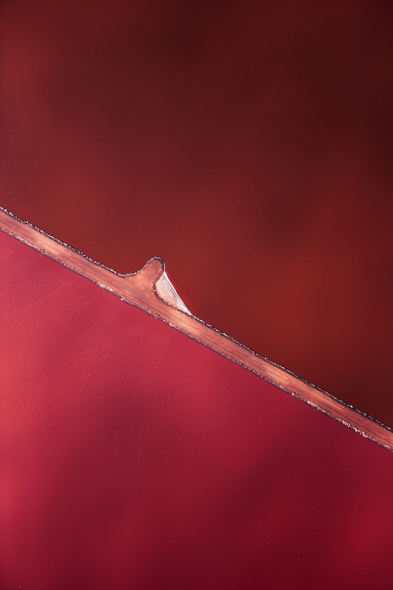 Shades, Hutt Lagoon, Vertical Print