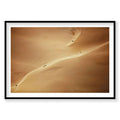 Aerial view of golden sand dunes and vehicle tracks in Kalbarri, Western Australia, photography print by Remy Gerega