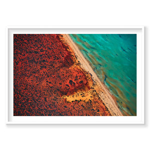 Green And Blue, Shark Bay, Horizontal Print