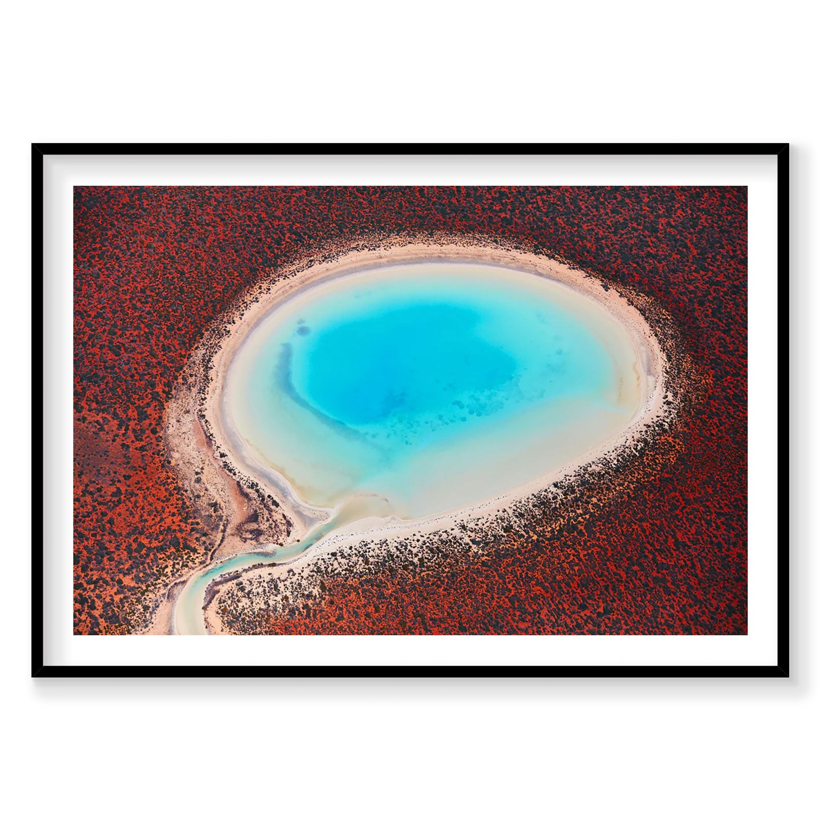 Aerial view of Blue Lagoon Shark Bay with turquoise waters and red algae, photography print by Remy Gerega