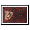 Aerial view of Shark Bay salt lake with red algae and sandy island, photography print by Remy Gerega
