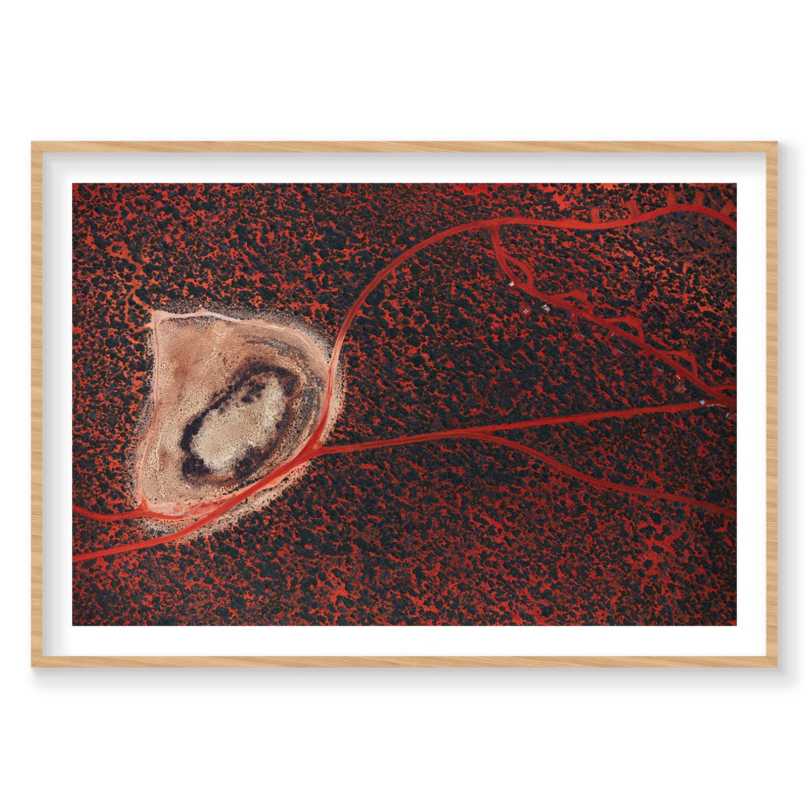 Outback, Shark Bay, Horizontal Print