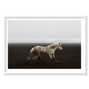 Solo, Iceland, Horizontal Print