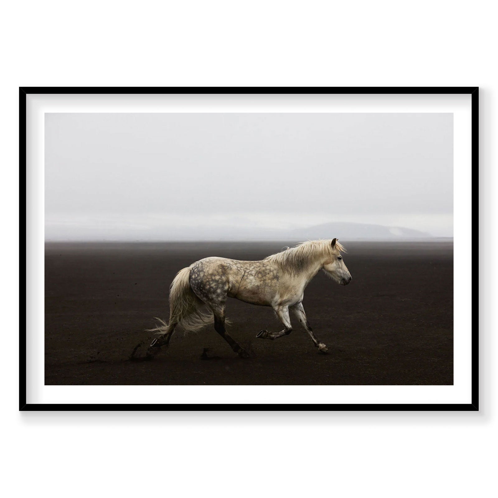 White speckled horse trotting across dark Icelandic volcanic sand beach, photography print by Remy Gerega