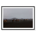 Herd of Icelandic horses on dark volcanic plains with mountains, photography print by Remy Gerega