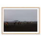 Herd, Iceland, Horizontal Print