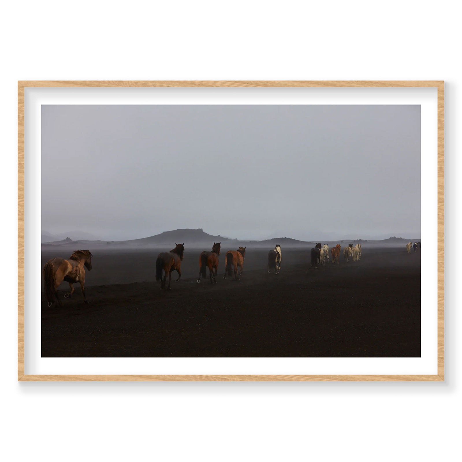 Herd, Iceland, Horizontal Print