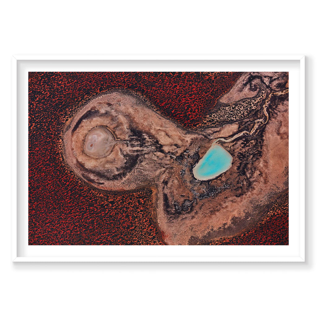 Internal, Shark Bay, Horizontal Print