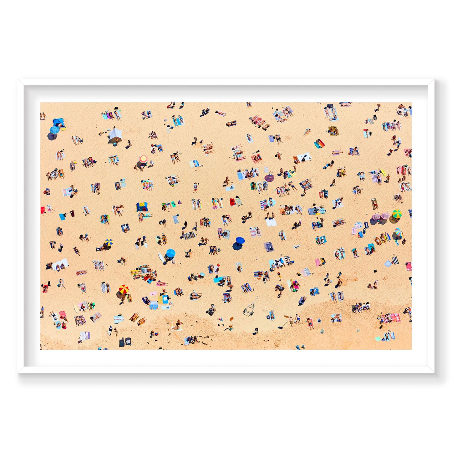Bondi Beach Sunbathers, Horizontal Print