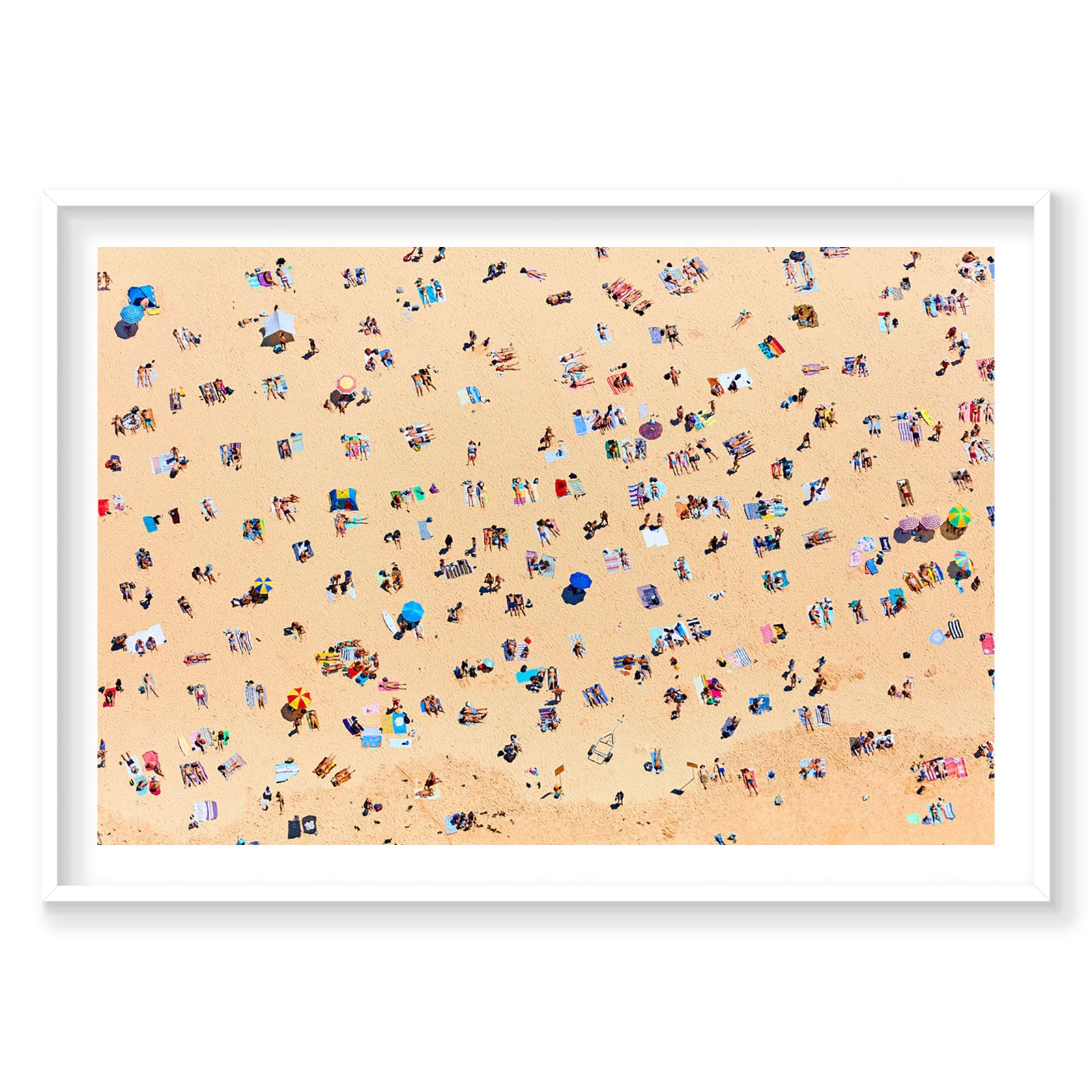 Bondi Beach Sunbathers, Horizontal Print