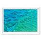Coral, Great Barrier Reef, Horizontal Print